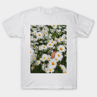 Photo Daisies T-Shirt